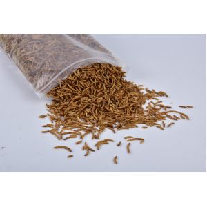 Quality yee factory cost stock fish meal animal feed dry meal worm dry mealworm dried mealworms for sale