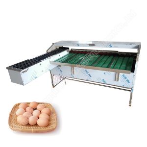 Commercial Small Scale Egg Processing Machine Grader Weight Sorting Line