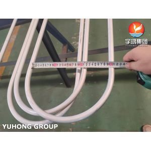 Refinery Heat Exchanger TP304 U Bend Tube