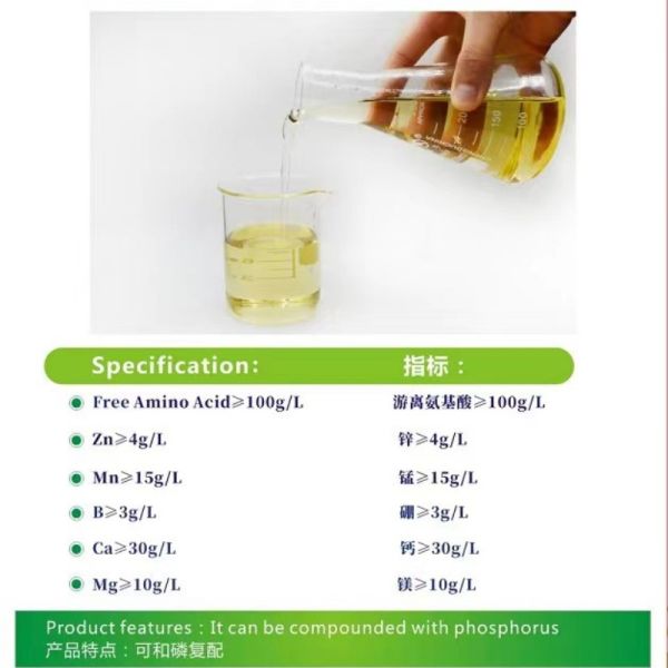 Zinc Calcium Magnesium Amino Acid Chelated Tomato Grape Apple Fertilizer For Organic Farming