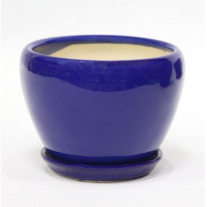 Stunning Plant Display With Our Ceramic Pots Affordable Prices