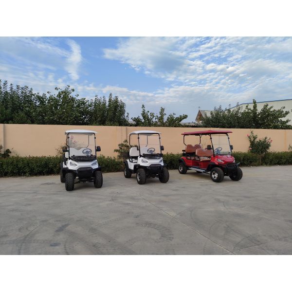 Blue 8-Seater Electric Golf Cart With Customizable Color And LOGO Perfect For Luggage Delivery At Weddings Or Airports