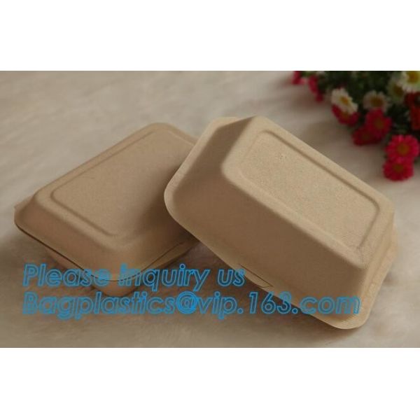 biodegradable sugarcane food container 6inch 450ml to-go burger box,Eco-friendly