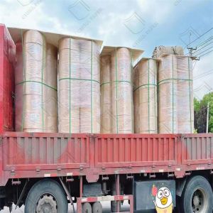 High Smonth Bible Printing Paper HIgh PPI Dictionary Book Paper