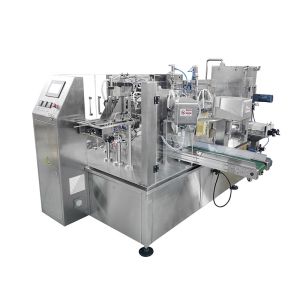 WG300 Industrial Automatic Dried Fruit Doypack Premade Pouch Packing Machine