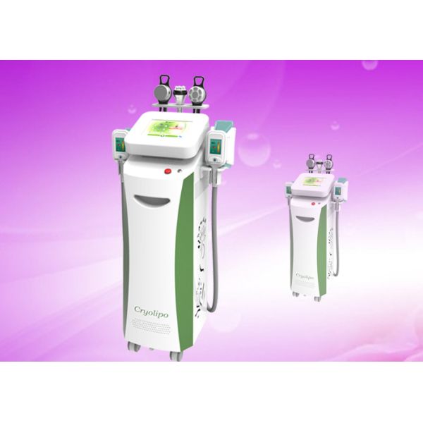 Buy 2014 New design cryolipolysis lipo freezeing slimming machine at wholesale prices