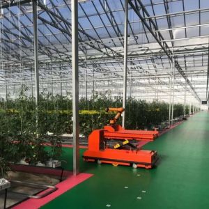 Proper Intelligent Garden Glass Frame Agriculture Greenhouse Sale 100.000kg