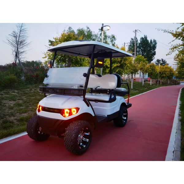 ABS Material 4 Seater Golf Cart with Seating Capacity of 4 People and Optional Rain Curtains