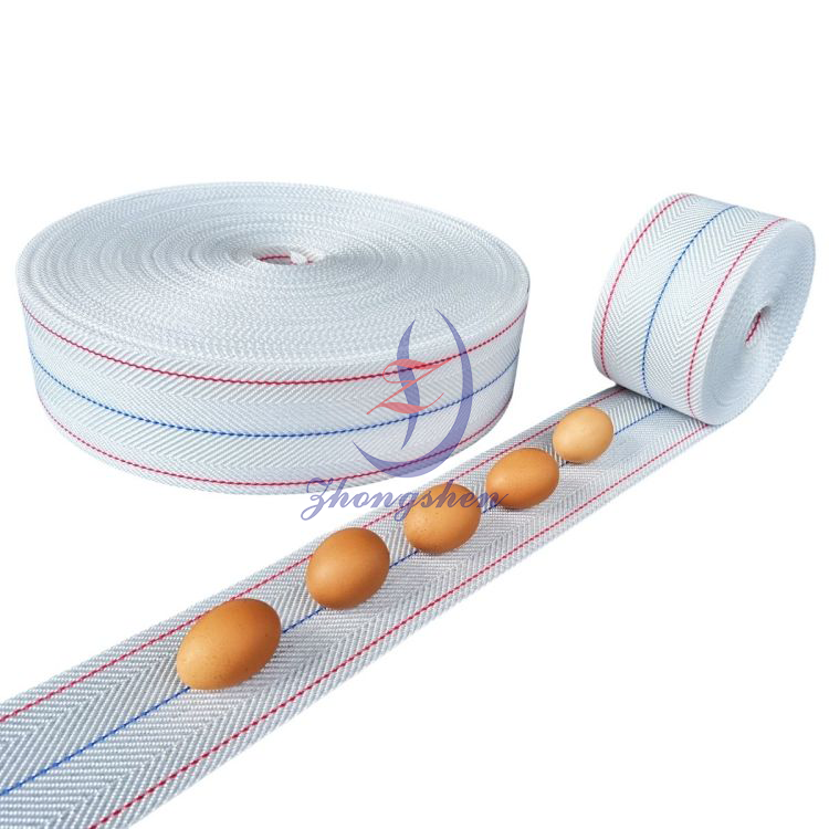 China Zhongshen Poultry Egg Belts for Layer Farm Egg Safe Transport and Minimal Breakage on sale