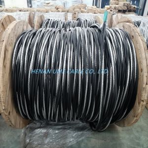600V Service Drop Cable Duplex AAC ACSR AAAC 6AWG/4AWG/2AWG Material Shape Round