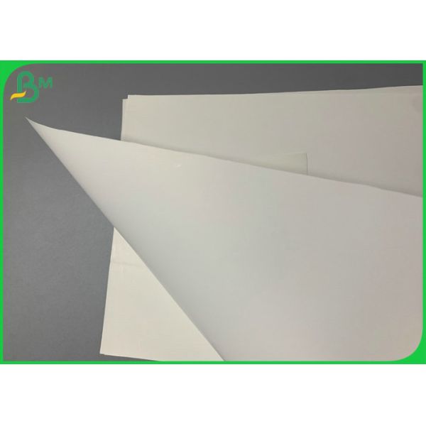 Recycled RPD Fireproof Stone Paper For Making Magazine Waterproof 787mm Recycled RPD Fireproof Stone Paper For Making Magazine Waterproof 787mm