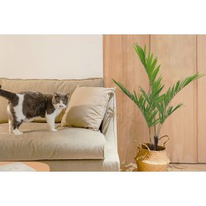 SGS Natural Artificial Potted Floor Plants Kenita Palm Tree