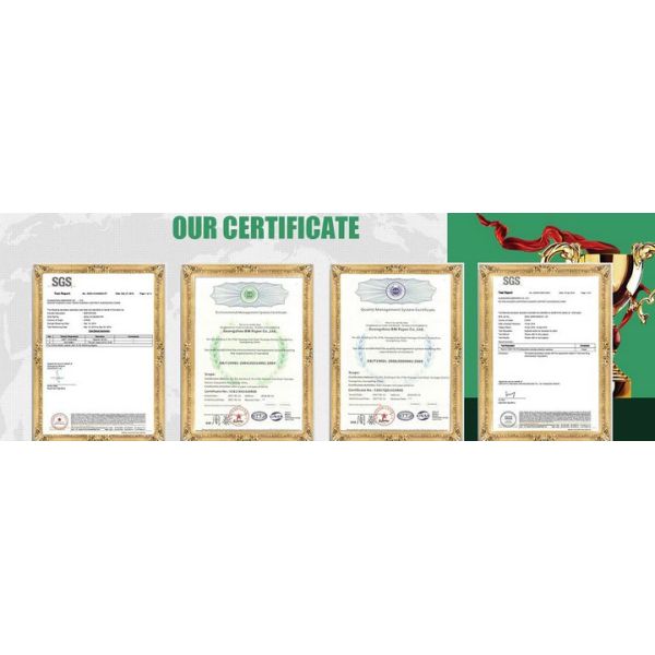 Food Grade 80gsm 90gsm White Craft Paper Roll for Wheat Flour Bag FSC FDA