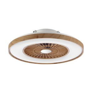 Ceiling Fan Light(323115-6)