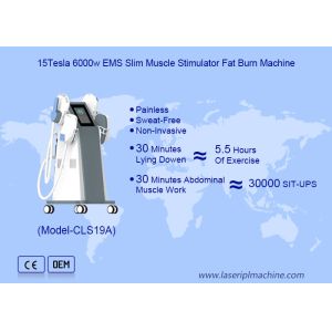 Tesla Sculpting  Electo Magenetic Body Slimmingting Machine For Fat Burning and Body Sculpting