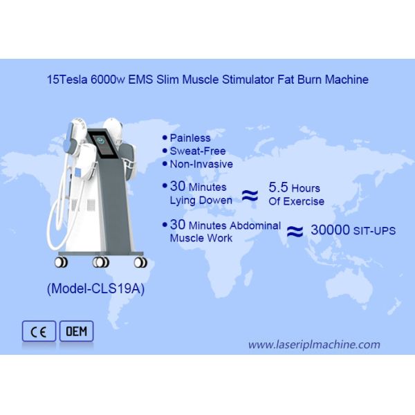 Buy Tesla Sculpting  Electo Magenetic Body Slimmingting Machine For Fat Burning and Body Sculpting at wholesale prices