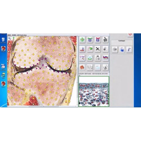 Metatron hunter 4025 with german software