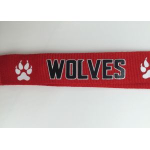 Nice Red silk screen Lanyards with plastic detachable buckle