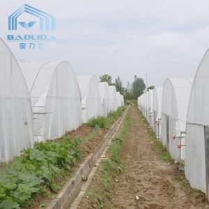 Hydroponic System Tunnel Plastic Greenhouse with Ventilation Insect Net