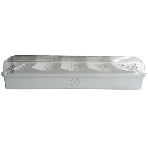 External Small Waterproof Emergency Light Non Maintained 345mm×118mm×80mm
