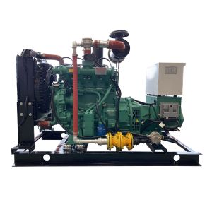 CE ISO Approved 30kw Silent LPG Gas Generator Water Cooled Method Electrical