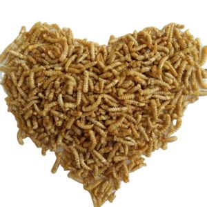 Quality Wholesale Nutrition Food Small Pet Snacks Dried Mealworm For Hamster Rabbit for sale