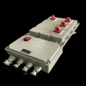 Quality Wall Mounted Flameproof Control Panels with Powder Coating Finish and Customization for sale