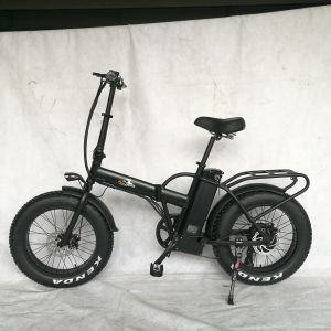20 Inch 48V 500W 750W 1000W Electric Folding Bike with Fat Tire Max Speed 30