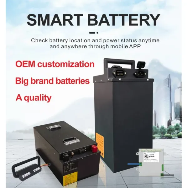 Ip67 Detachable BMS Electric Motorcycle Lithium Battery For Scooter Recyclable