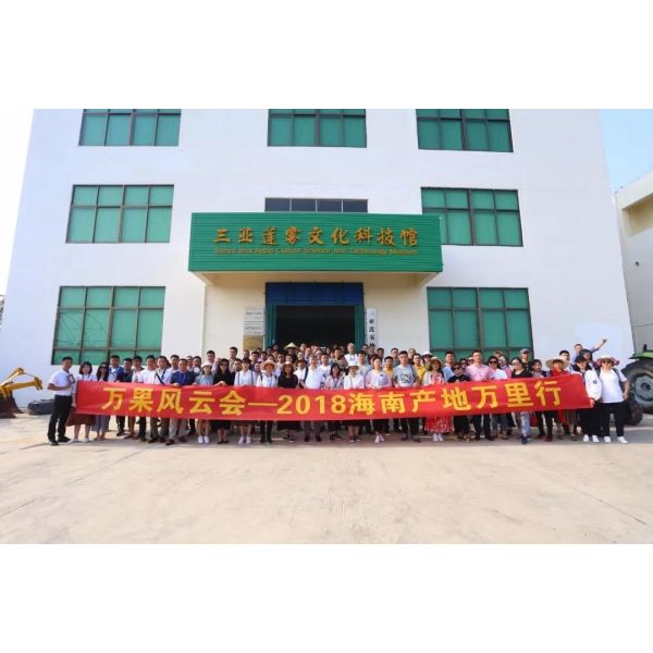 Buy The Puchasers Delegation to the Plantation and Storage Warehouse at wholesale prices