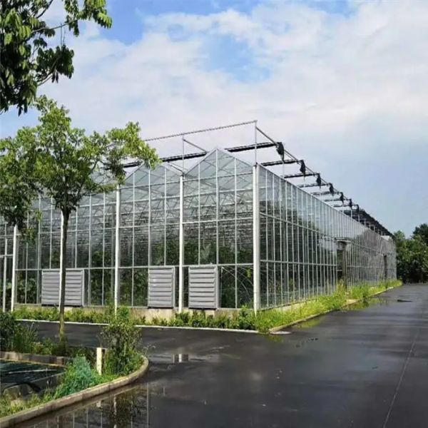 Water Resistance Glass Sheltered Greenhouse For Plant Cultivation