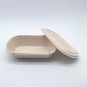 Greaseproof Oval Biodegradable Bagasse Tableware Bento Box For Salad