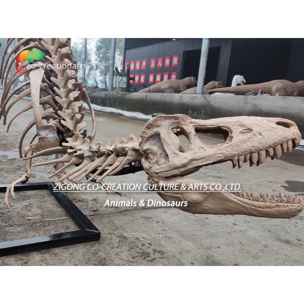 Highly Detailed Outdoor Decor Resin Dinosaur Skeleton Replica T-Rex Skeleton