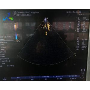 Quality Housing Cracked GE 3S Ultrasound Probe Repair For Crystal Array Replacement for sale