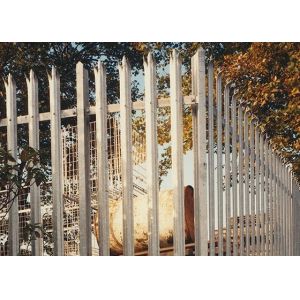 Notched 6ft Steel Palisade Fencing Galvanized With W Section