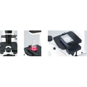 40X-400X Inverted Optical Microscope WF10X 22mm For Cell Observation And