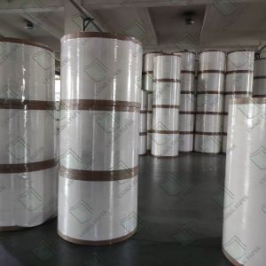 High Stiffness Duplex Board with Grey or White Back for Versatile Applications