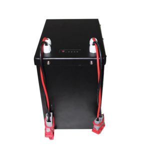 ODM Service Club Car Lithium Batteries 24v 240ah Compatible