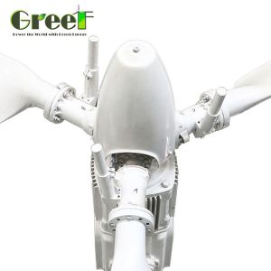Roof Solar Hybrid Grid Tie Industrial Pitch Control Wind Turbine 5KW