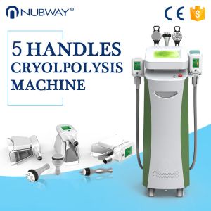 Body Slimming Shaping Cryolipolysis Body Slimming Machine Beautician Use