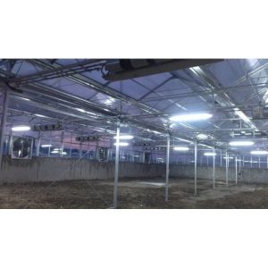 Mushroom Equipment Greenhouse For Vegetable Agriculture With Steel Frame