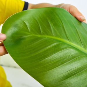 120cm Artificial Landscape Trees Traveller'S Palm PE Leaves Real Touch Potted