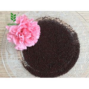 EDDHA-Fe 6% (O-O 2.4) Granule