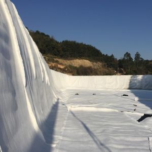 density Polyethylene Plastic Geotextile and Geonet 3D Composite Drainage Net