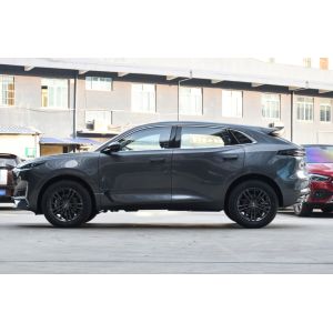 Economic Antomatic& Manual Gasoline UNIK 2.0T Deluxe 2021 Version 5 Door 5 seats