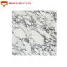 Italy White Marble Stone Arabescato Corchia Marble Slab For Bathroom Basin Countertop for sale