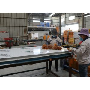 Fireproof Steel Structure Insulation Mgo Magnesium Oxide Board