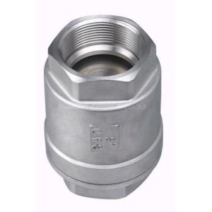 High quality stainless steel Vertical Type Check Valve Hot sale!!!