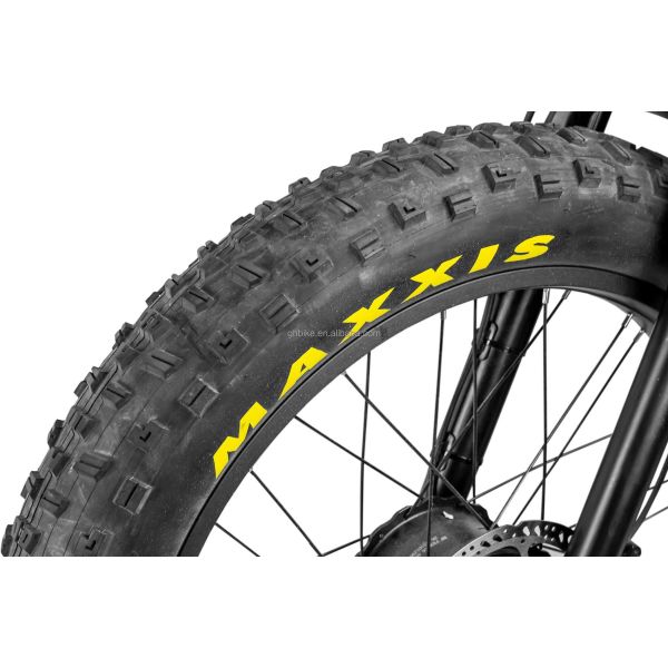 Central Motor 26" 4.0 Fat Tire Adult Electric Bike with Dual Battery 48V1000W X2WD CE