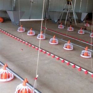Full Automatic 12 Birds PP Chicken Nipple Drinker System